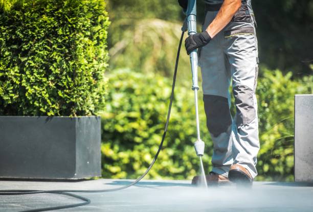 Best Driveway Pressure Washing  in Lonsdale, MN