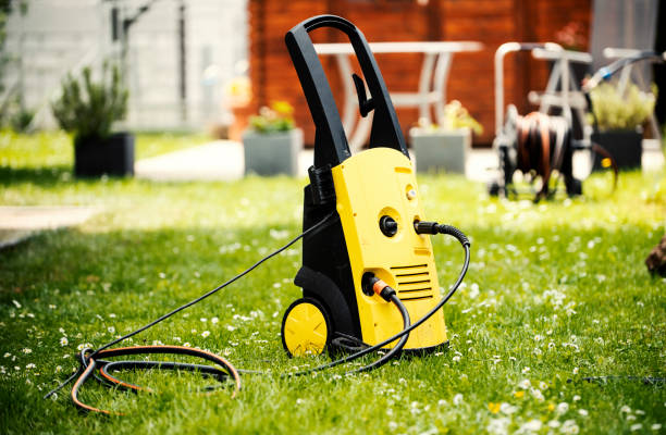 Best Pre-Holiday Cleaning  in Lonsdale, MN